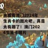 来看看澳门2024年生肖卡的图片吧，真是太有趣了！澳门2024生肖卡图片