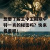 想要了解王中王期期中特一肖的秘密吗？快来看看吧！