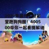 2020年最热的好彩堂跑狗狗图！400500带你一起看图解谜！