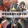 今天澳门202期的生肖号码表是什么样子的呢？