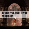 你知道什么是澳门神算子网子吗？