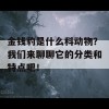 金钱豹是什么科动物？我们来聊聊它的分类和特点吧！