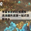 丰富多彩的红姐图库：高清图片资源一站式获取平台