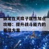 御龙在天扇子属性加点攻略：提升战斗能力的最佳方案