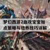 梦幻西游2血攻宝宝加点策略与培养技巧详解