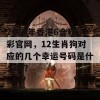 2024年香港6合和彩官网，12生肖狗对应的几个幸运号码是什么呢？