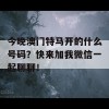 今晚澳门特马开的什么号码？快来加我微信一起聊聊！