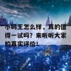 小码王怎么样，真的值得一试吗？来听听大家的真实评价！