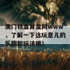 澳门铁盘算盘网www，了解一下这玩意儿的乐趣和玩法吧！