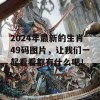 2024年最新的生肖49码图片，让我们一起看看都有什么吧！