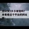 想玩快3大小单双吗？来看看这个平台的网址吧！