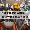 2024年卡龙年，49号生肖波色大揭秘！带你一起了解生肖波色的奥秘！