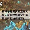 神算子免费资料正版大全，带你找到最全的实用资料和技巧推荐！