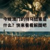 今晚澳门的特马结果是什么？快来看看解图吧！