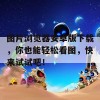 图片浏览器安卓版下载，你也能轻松看图，快来试试吧！