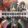 2023澳门六开彩结果查询与投注技巧全攻略，助力彩民理性投注