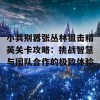 小兵别嚣张丛林狙击精英关卡攻略：挑战智慧与团队合作的极致体验