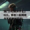 澳门142期开什么2023，带你一起揭晓今年的神秘号码！