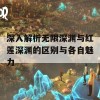 深入解析无限深渊与红莲深渊的区别与各自魅力