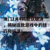 澳门2肖4码默认版决，揭秘这款游戏中的技巧和玩法！