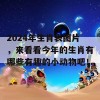 2024年生肖表图片，来看看今年的生肖有哪些有趣的小动物吧！