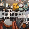 想体验不一样的威尼斯风情？来看看2665威尼斯官网吧！