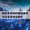 购买生肖码的网站推荐与注意事项全解析