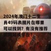 2024年澳门十二生肖49码表图片在哪里可以找到？有没有推荐的网站或平台？