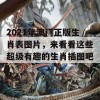 2021年澳门正版生肖表图片，来看看这些超级有趣的生肖插图吧！