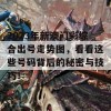 2023年新澳门彩综合出号走势图，看看这些号码背后的秘密与技巧！