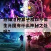 想知道神算子和四不像生肖图有什么神秘之处吗？