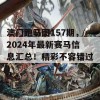 澳门跑马图157期，2024年最新赛马信息汇总！精彩不容错过！