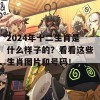 2024年十二生肖是什么样子的？看看这些生肖图片和号码！