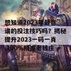 想知道2023年最靠谱的投注技巧吗？揭秘提升2023一码一肖,100%精准老钱庄