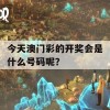 今天澳门彩的开奖会是什么号码呢？