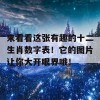 来看看这张有趣的十二生肖数字表！它的图片让你大开眼界哦！