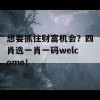 想要抓住财富机会？四肖选一肖一码welcome！