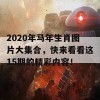 2020年马年生肖图片大集合，快来看看这15期的精彩内容！