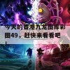 今天的香港九龙图库彩图49，赶快来看看吧！