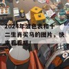 2024年波色表和十二生肖买马的图片，快来看看吧！