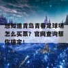 想知道青岛青春足球场怎么买票？官网查询帮你搞定！