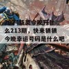 2024新奥今晚开什么213期，快来猜猜今晚幸运号码是什么吧！