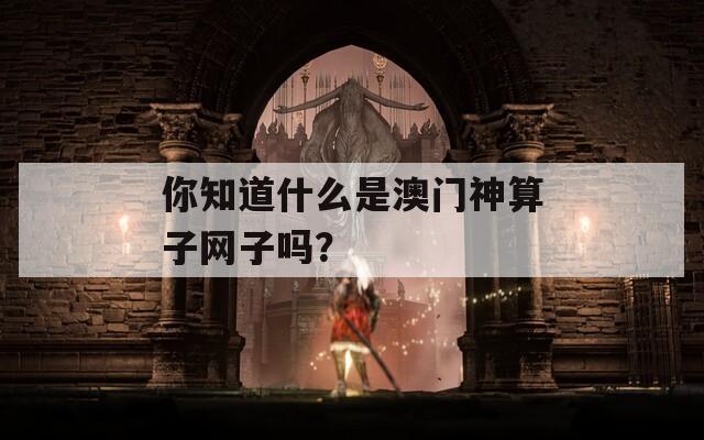 你知道什么是澳门神算子网子吗？