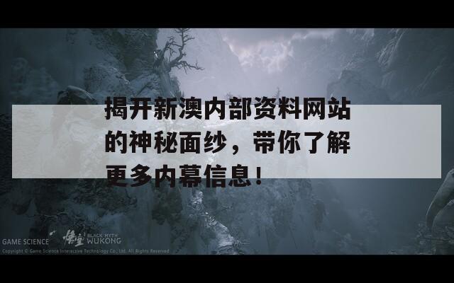 揭开新澳内部资料网站的神秘面纱，带你了解更多内幕信息！