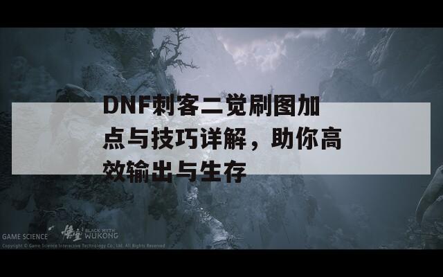 DNF刺客二觉刷图加点与技巧详解，助你高效输出与生存