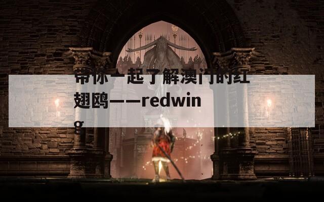 带你一起了解澳门的红翅鸥——redwing