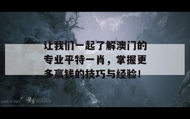 让我们一起了解澳门的专业平特一肖，掌握更多赢钱的技巧与经验！