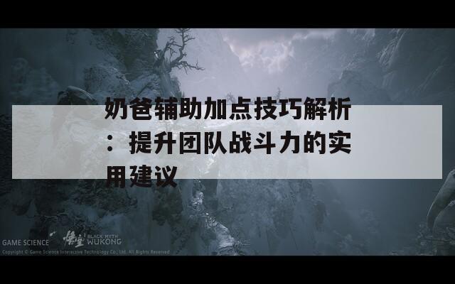 奶爸辅助加点技巧解析：提升团队战斗力的实用建议