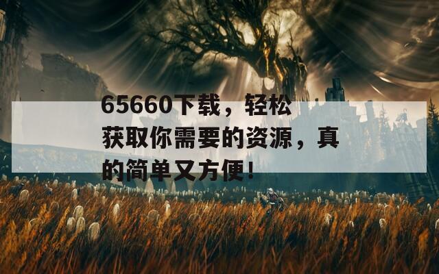 65660下载，轻松获取你需要的资源，真的简单又方便！