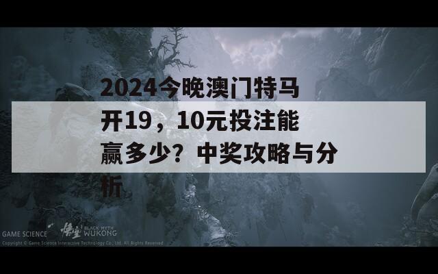 2024今晚澳门特马开19，10元投注能赢多少？中奖攻略与分析